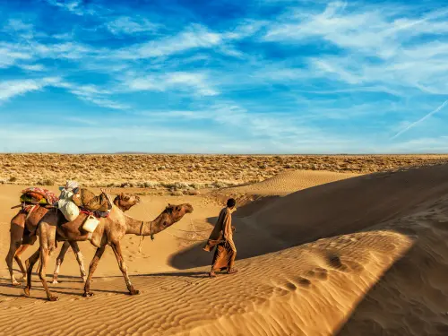 ROYAL RAJASTHAN