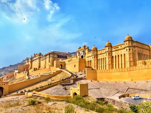 WILD RAJASTHAN