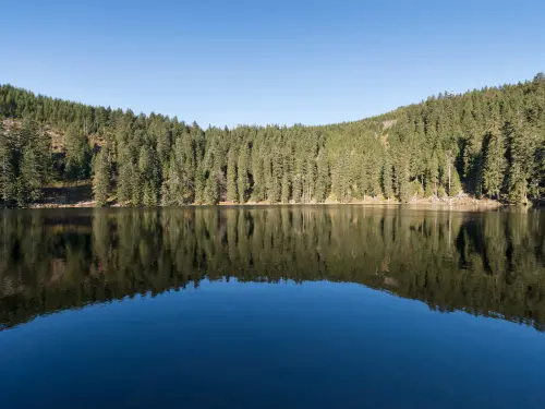 BLACK FOREST AND SPA RETREAT